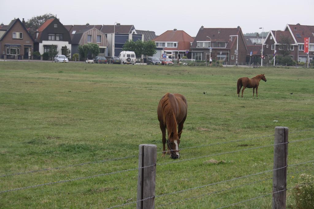 Villa 'T Haasduin Wijk aan Zee Exterior photo