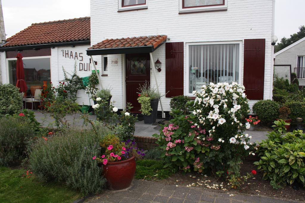 Villa 'T Haasduin Wijk aan Zee Exterior photo